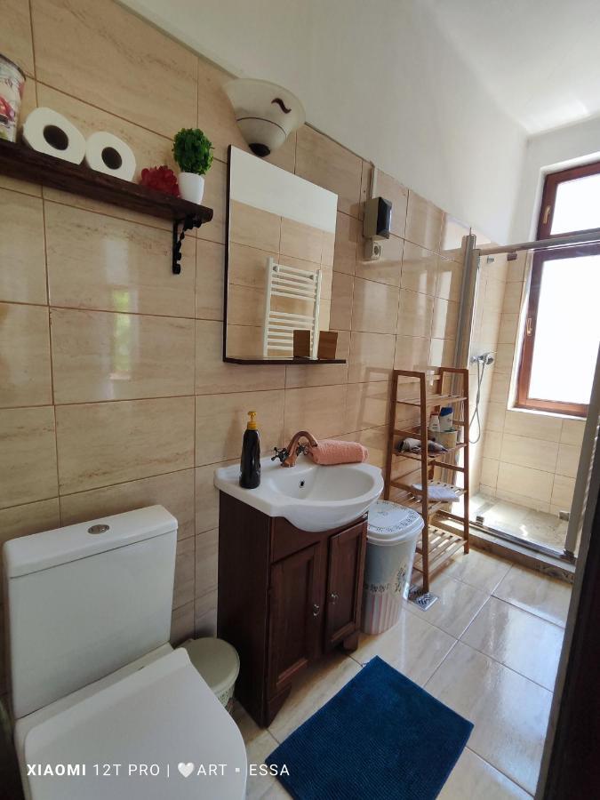 Apartament Buon Gusto,Near Main Square And Liar Bridge,Historical Side Of City Center Sibiu Extérieur photo